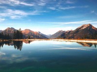 没想到现在还有人偷偷搜，蘑菇视频真的有那么多人在用吗，不是噱头，细看确实有东西