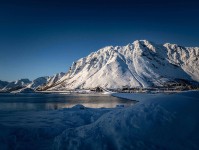 没想到现在还有人偷偷搜，蘑菇视频真的有那么多人在用吗，不是噱头，细看确实有东西