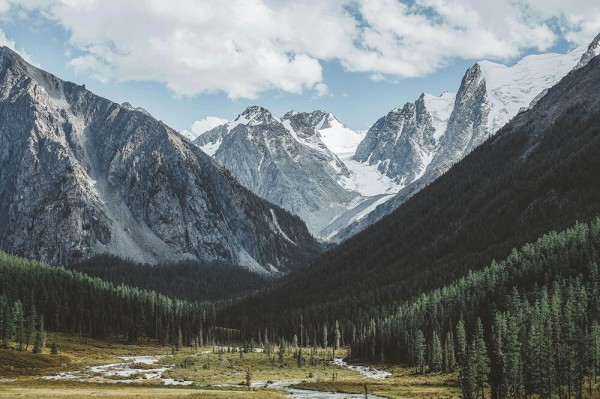 没想到现在还有人偷偷搜，蘑菇视频真的有那么多人在用吗，不是噱头，细看确实有东西