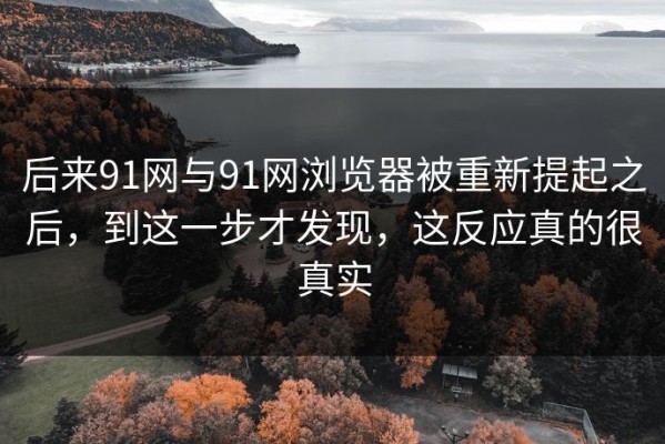 后来91网与91网浏览器被重新提起之后，到这一步才发现，这反应真的很真实