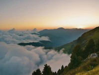 没想到现在还有人偷偷搜，蘑菇视频真的有那么多人在用吗，不是噱头，细看确实有东西